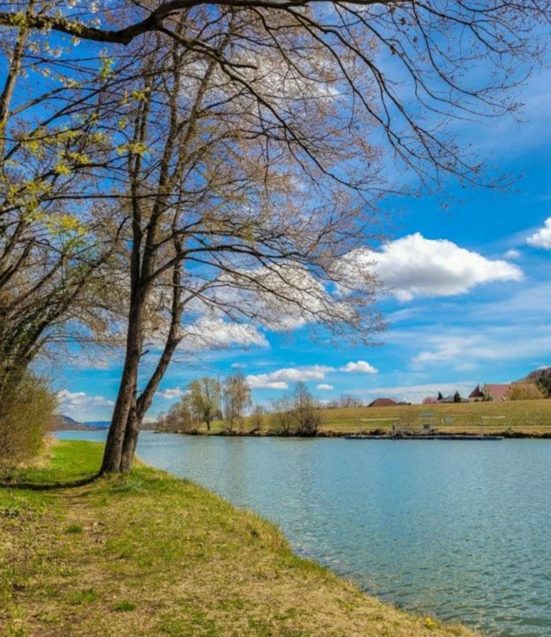 Apartment An Der Donau Krumnussbaum Dış mekan fotoğraf